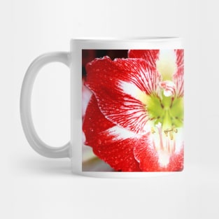 Amaryllis Ambush Mug